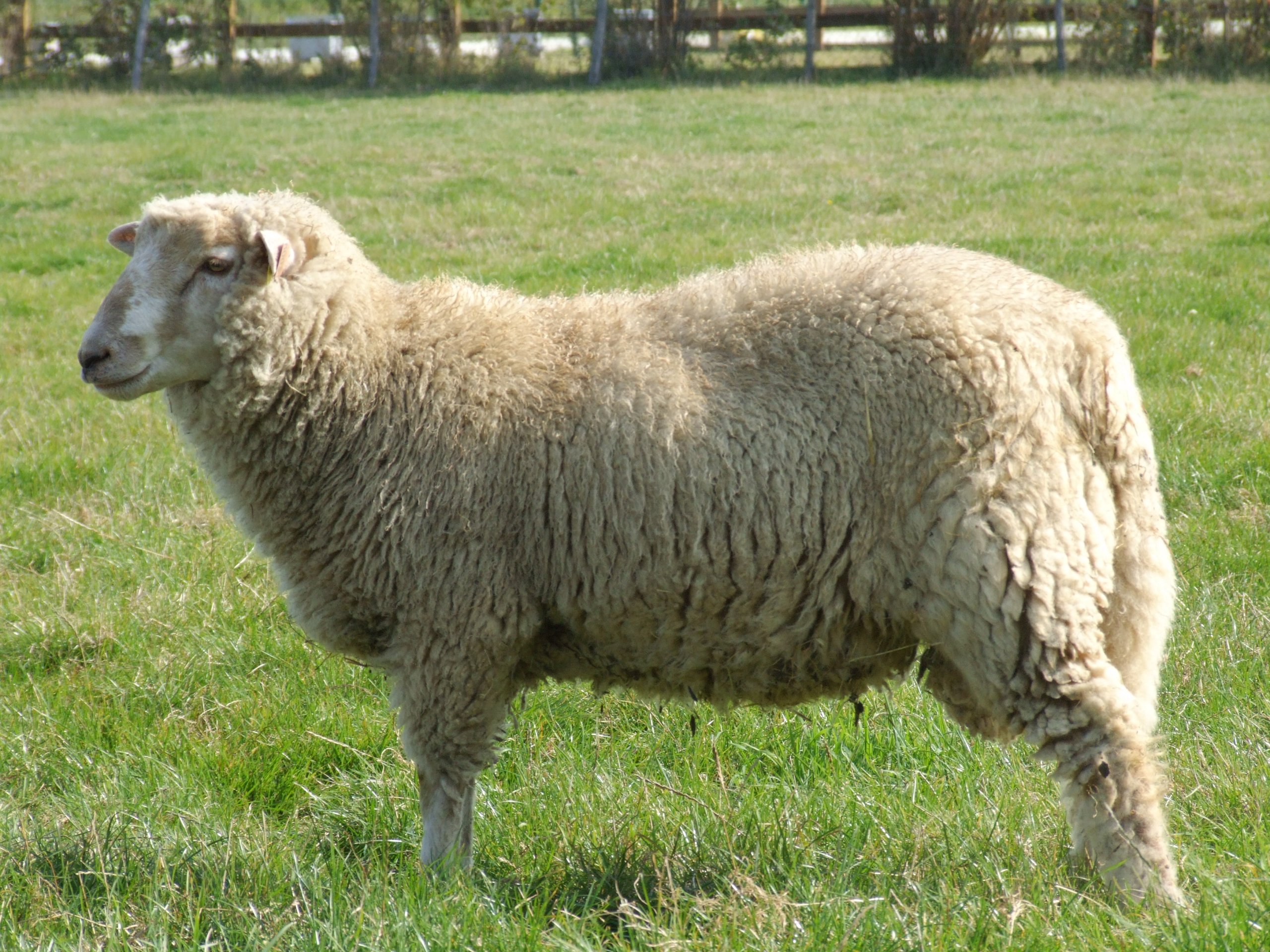 🏞️ 뱅티네 에코뮤지엄(에코뮤제 드 라 뱅티네)